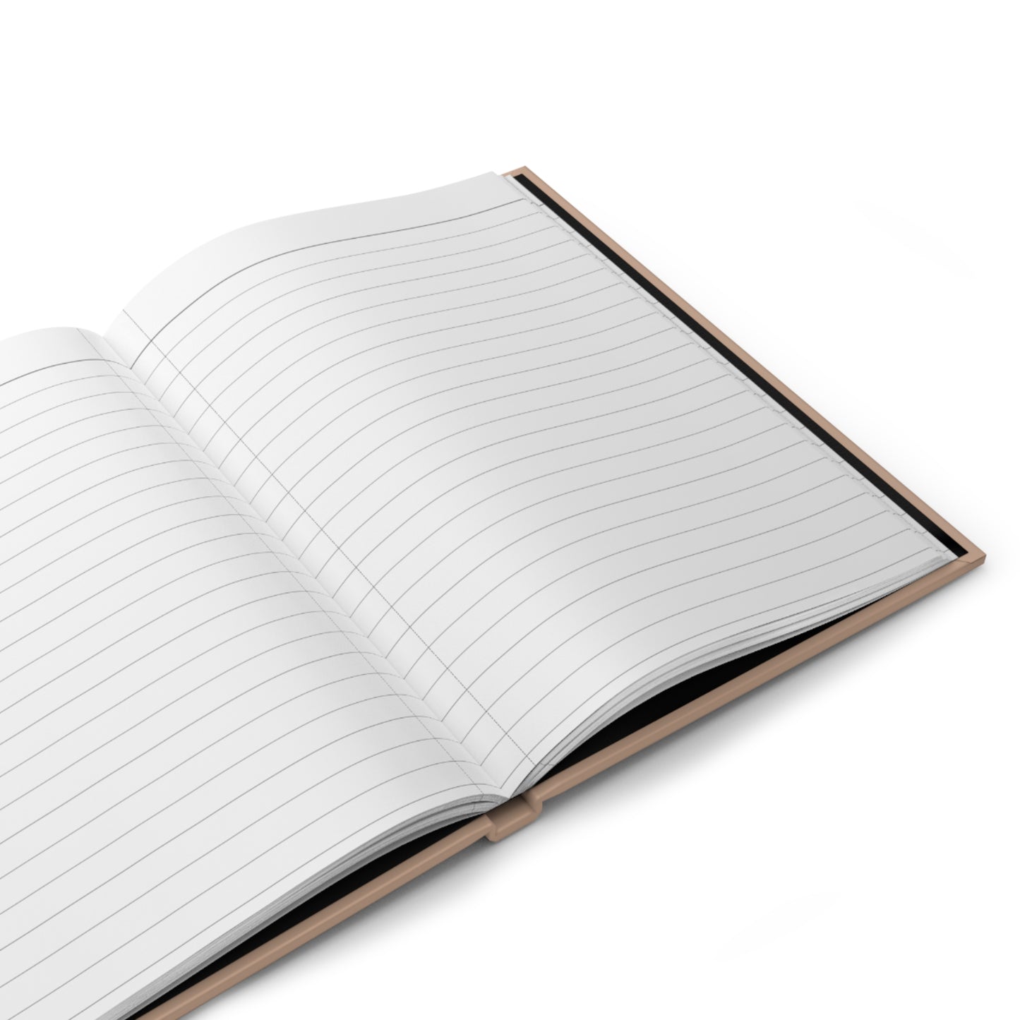 wealth attraction hardcover journal — matte money manifestation notebook